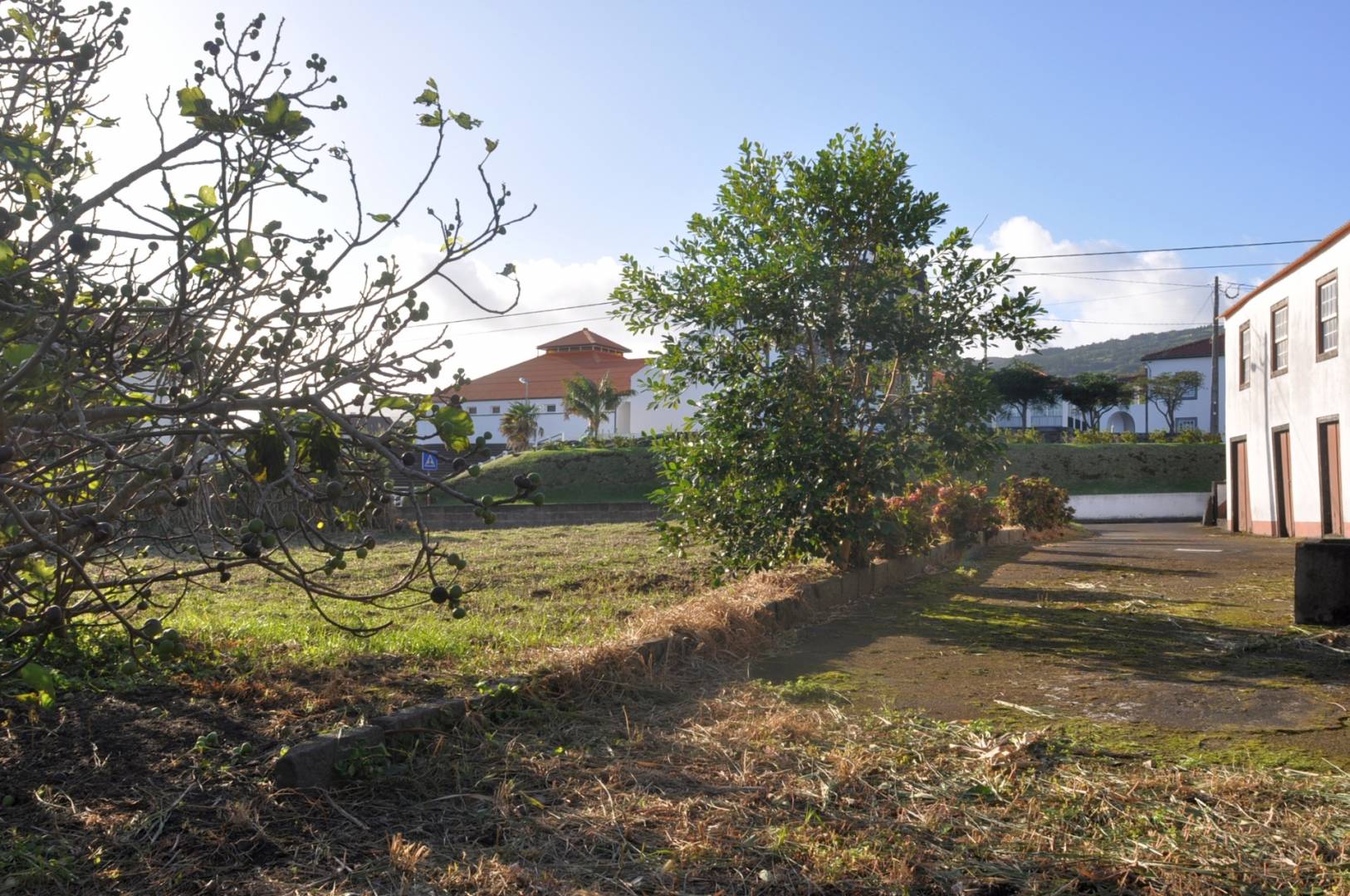 Two stone houses for sale