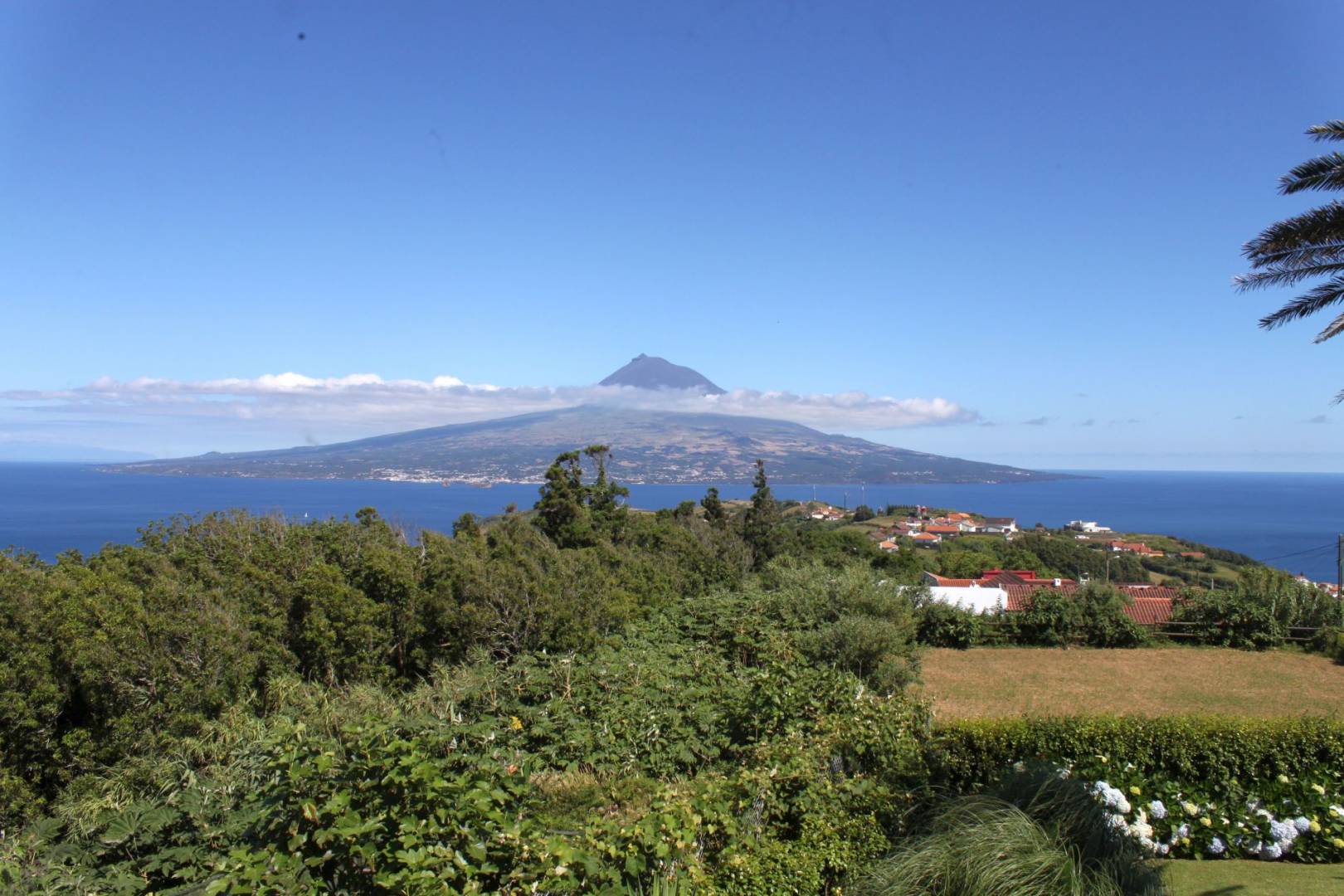 Guesthouse view garden Faial