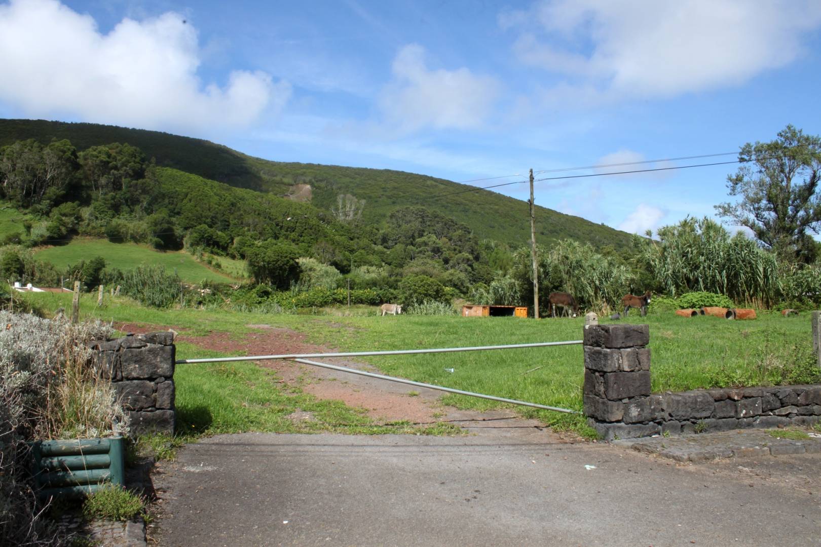 urban building plot Faial