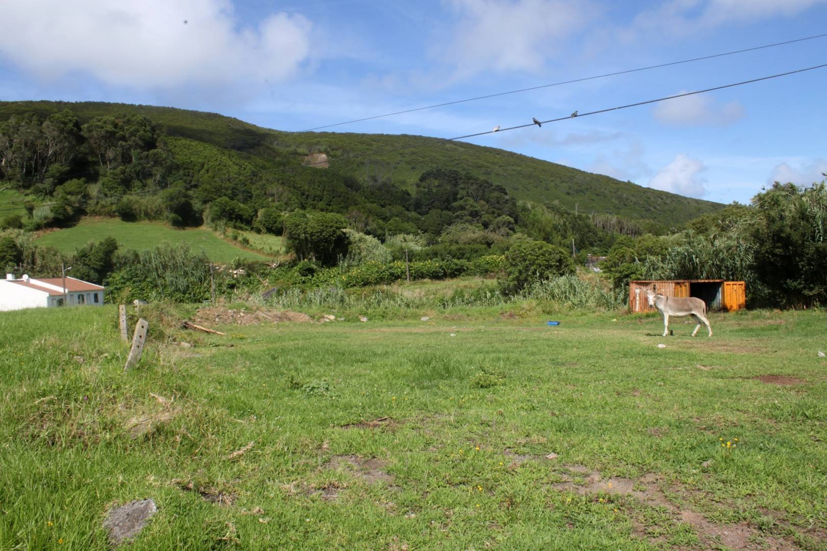 urban building plot Faial