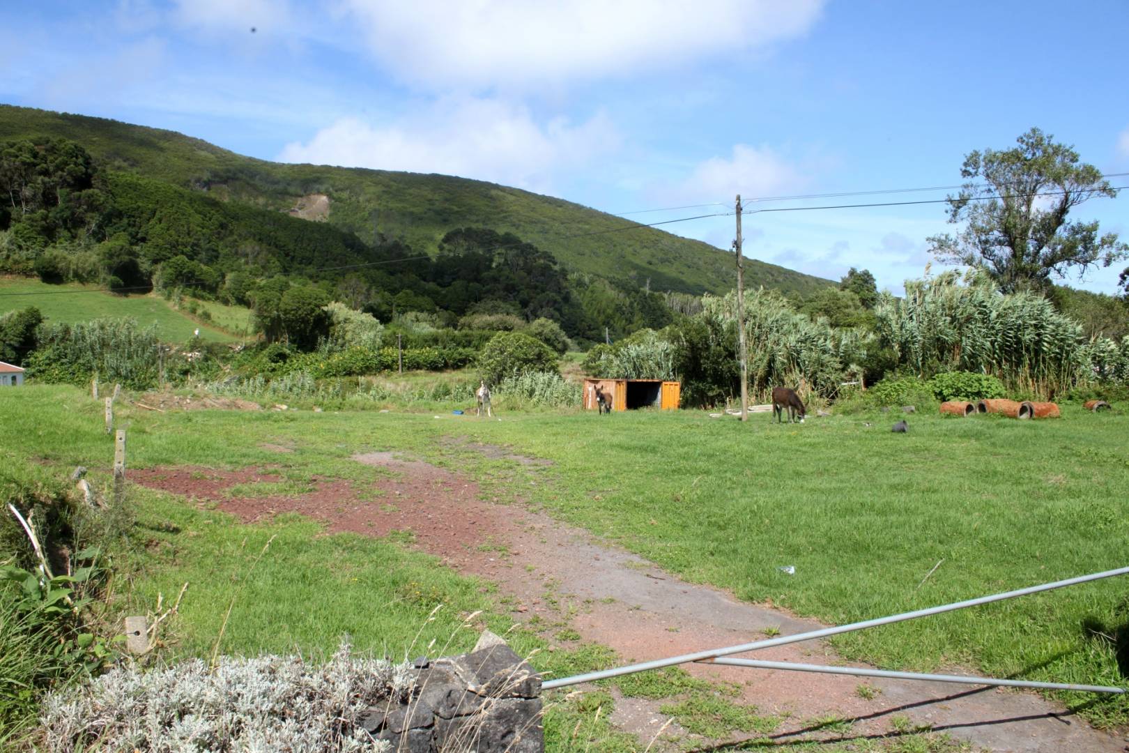 urban building plot Faial