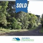 Forest plot Varadouro Faial