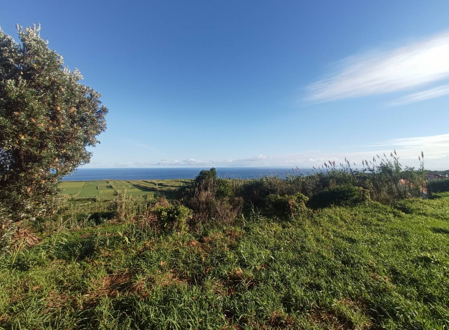 ocean view land Faial