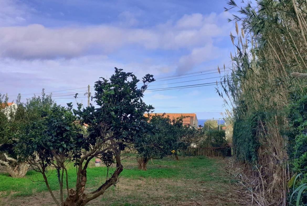 property garden views faial