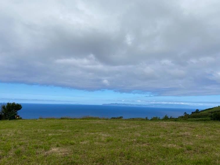 plot views privacy faial