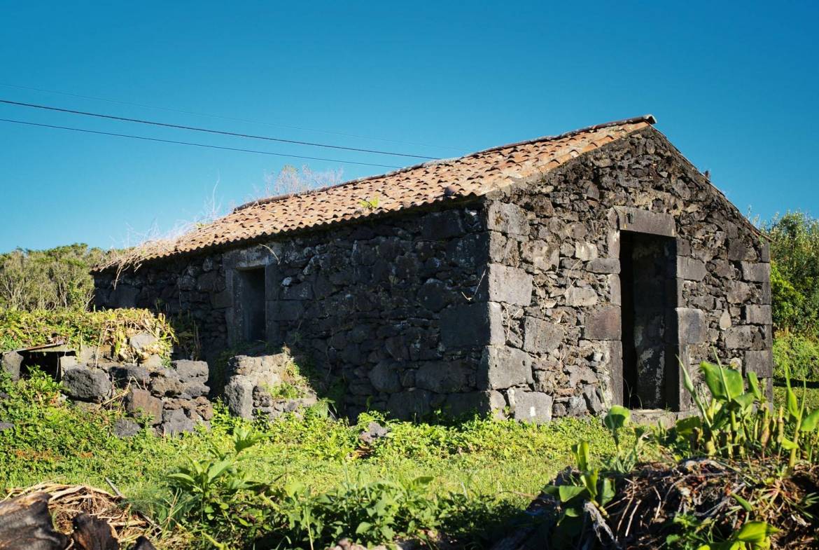 natural paradise ocean faial