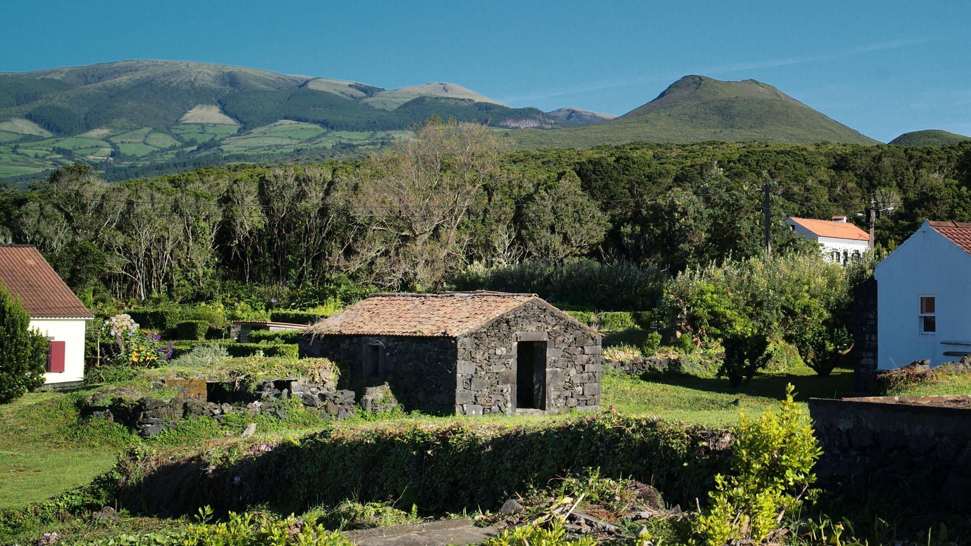 natural paradise ocean faial