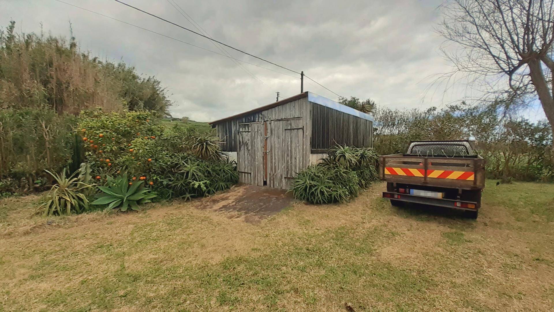 house tropical garden views