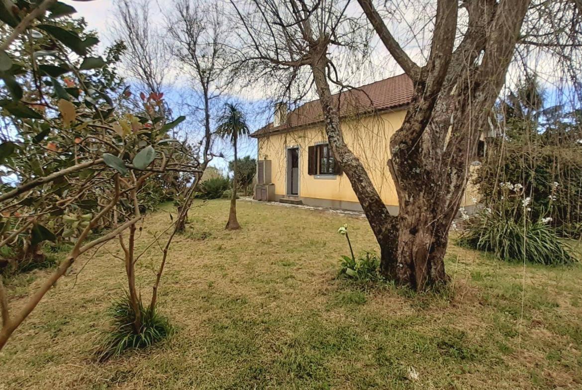 house tropical garden views