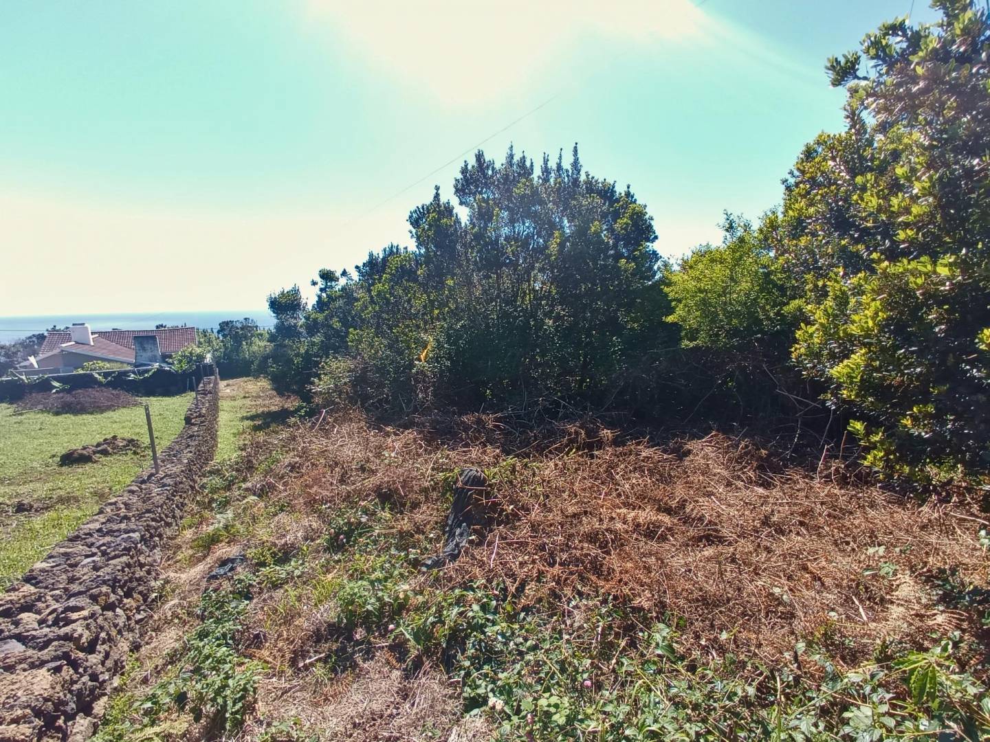 land ruin peaceful faial