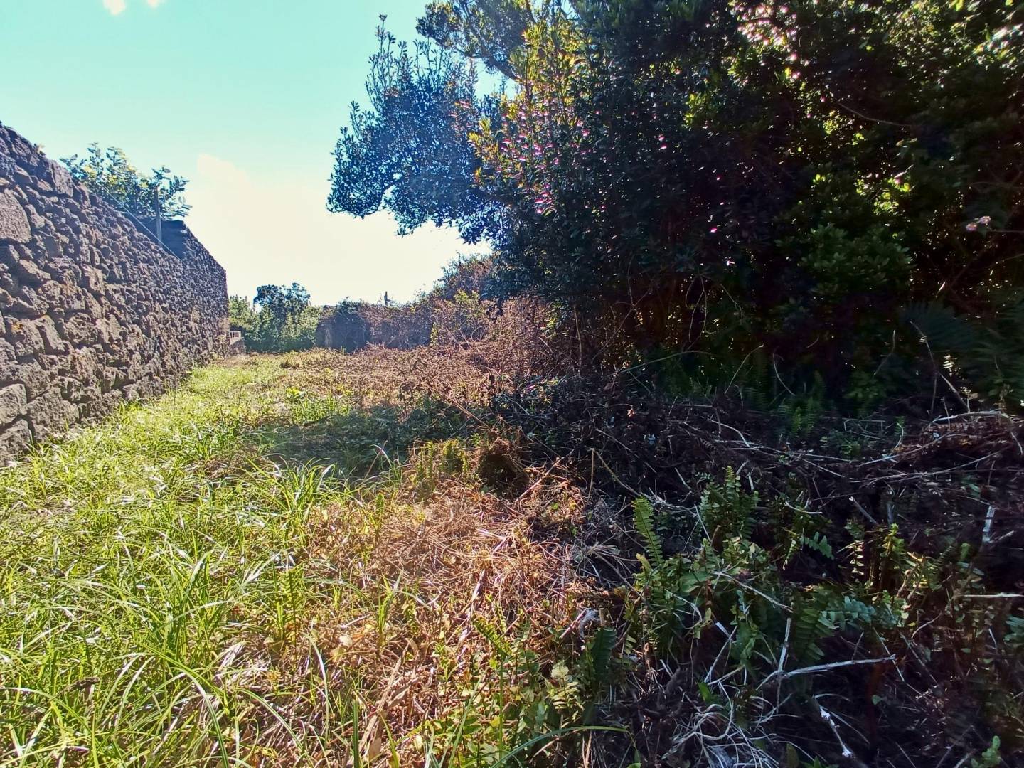 land ruin peaceful faial