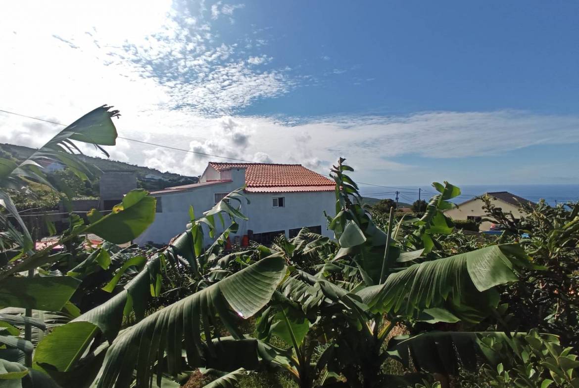 bedroom house garden Faial