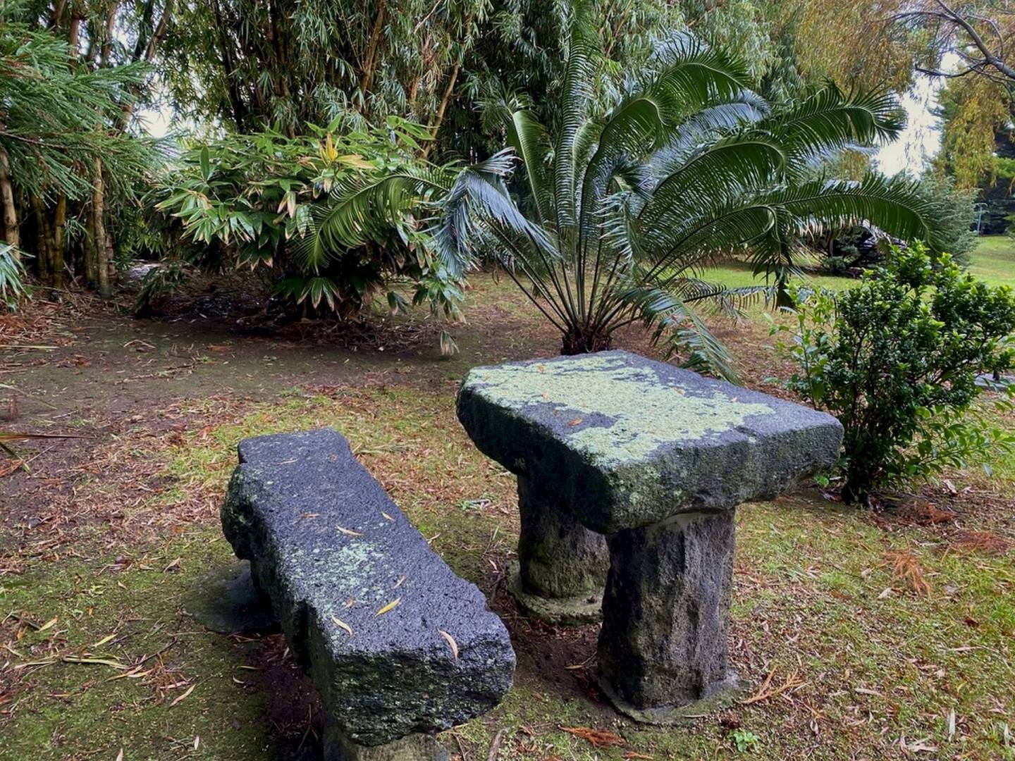 house garden privacy faial