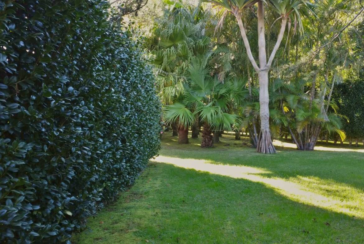 house garden privacy faial