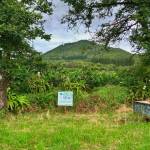 flat land south coast