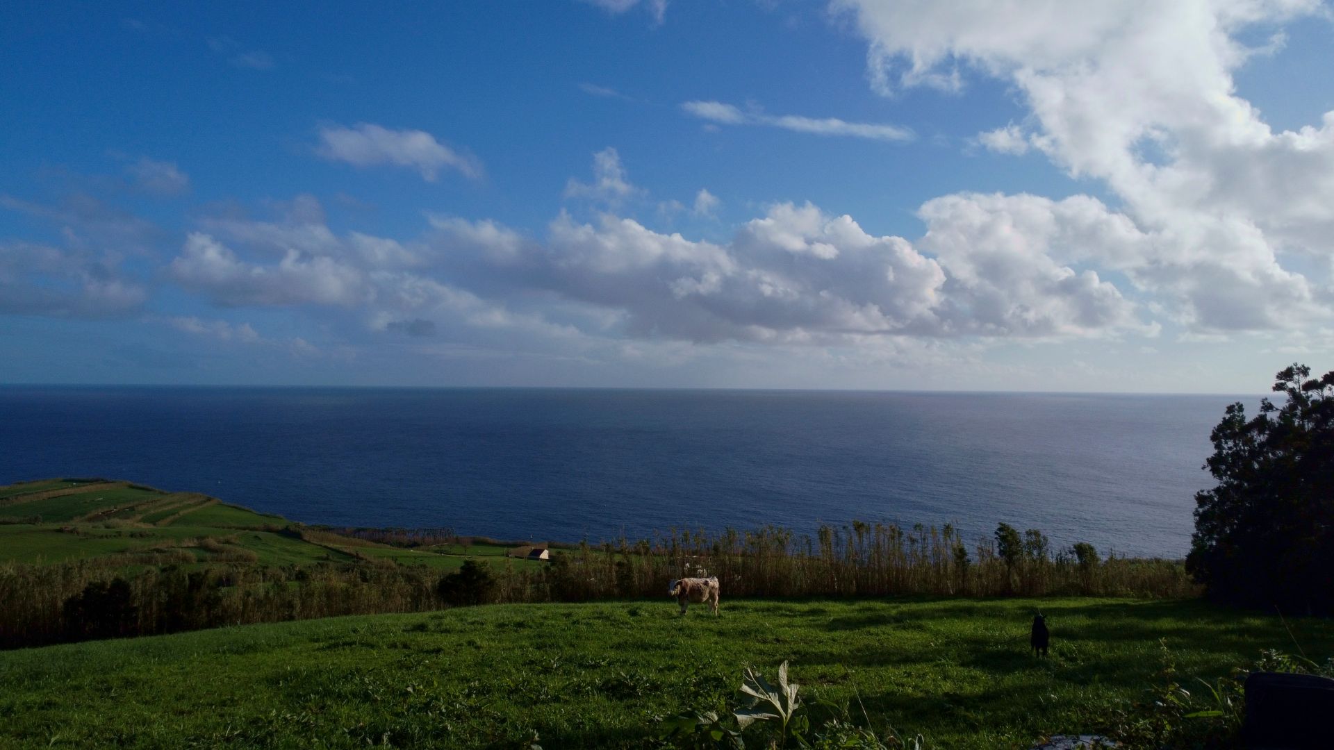 land ruin project faial