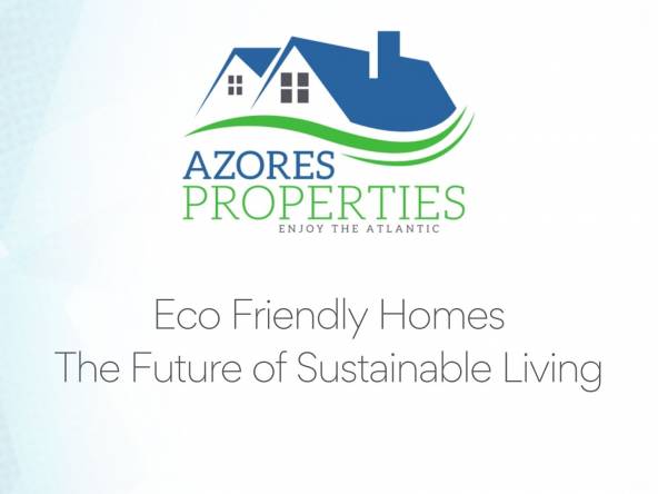 eco friendly homes future