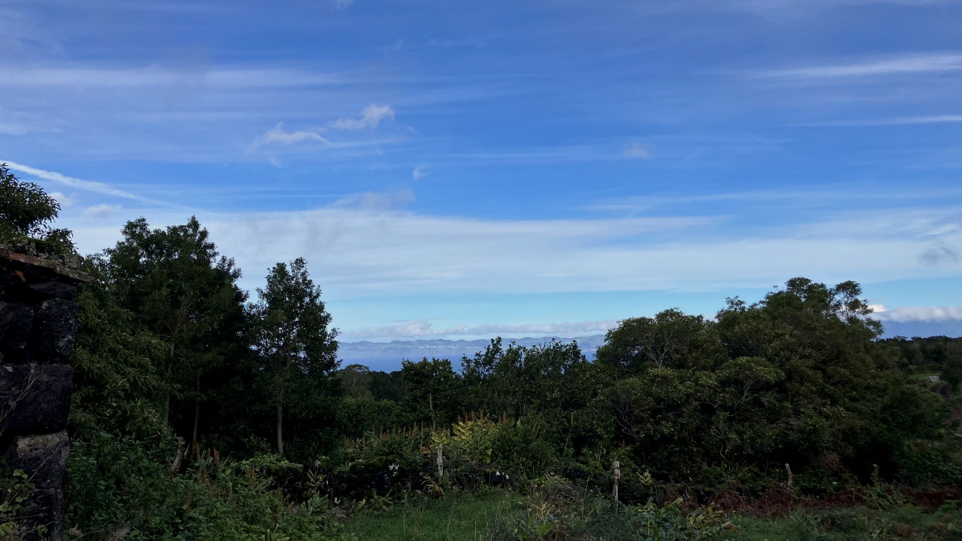 land forest ruin rebuilding